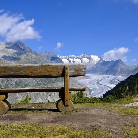 Schwarzbueb 公寓 贝特默阿尔卑