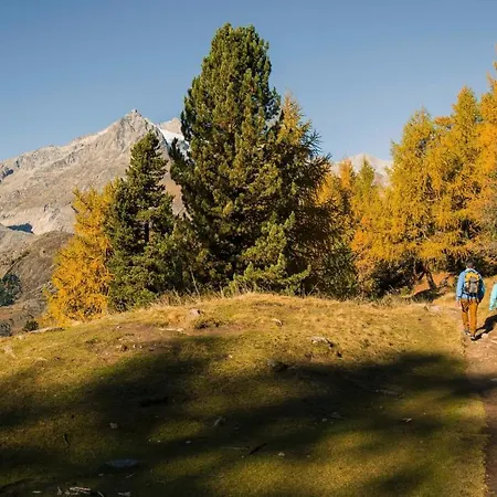Schwarzbueb Bettmeralp