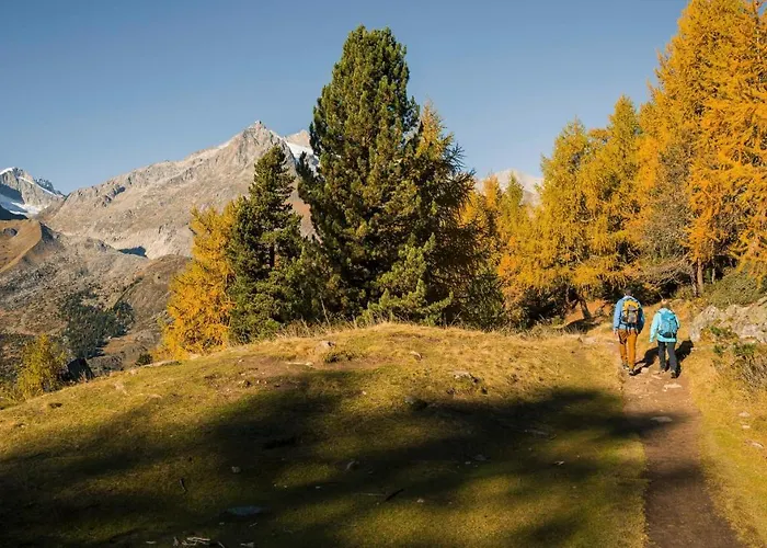 Schwarzbueb بيتميرلاب