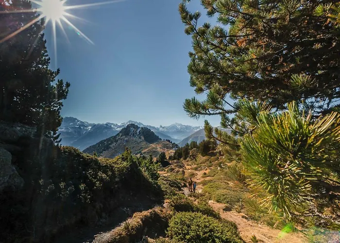 Schwarzbueb بيتميرلاب